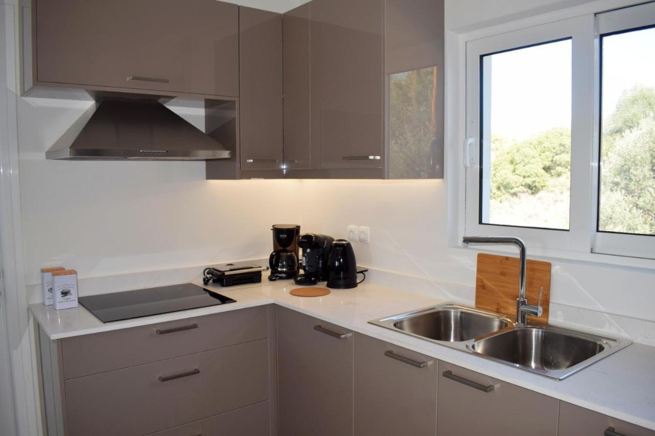 Skyview I Apartment Nafplio Bagian luar foto